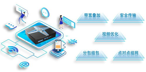 聚合路由器軟硬件研發(fā)與國內(nèi)外知名廠家盤點(diǎn)